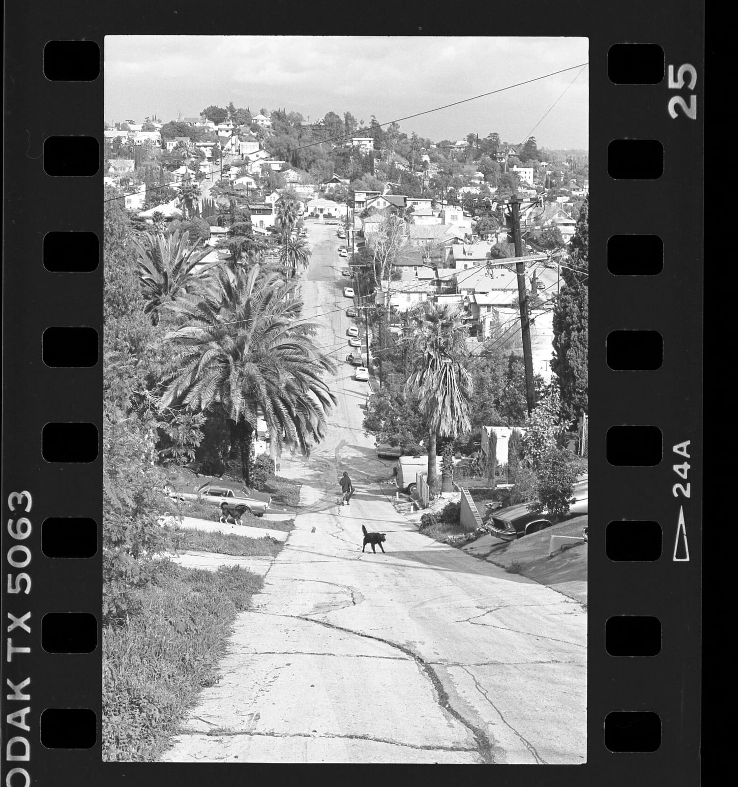 View looking down Eldred Street, steepest street with 33% grade in Los Angeles, Calif., 1986, 1986, Los Angeles