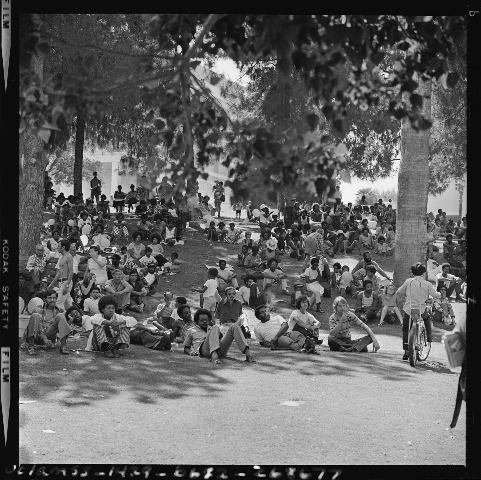 Crowds rest in shade at the Festival in Black, Los Angeles (Calif.), 1971, Los Angeles